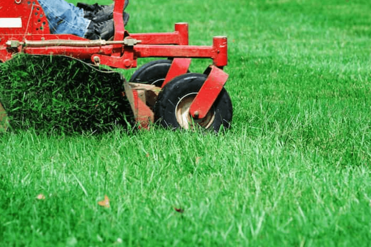 Professional Lawn Care Websites on a Budget